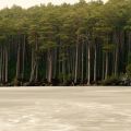 Loch Garten