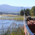 Loch Pityoulish