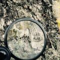 magnifying glass