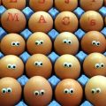 Eggs